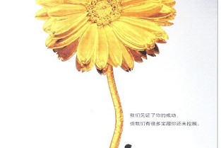 岳池房子 哈尔滨新房