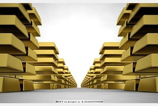 南湖半岛花园 白石洲二手房